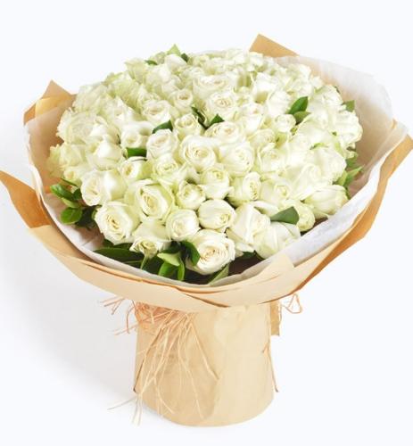 白玫瑰花語 白玫瑰花語