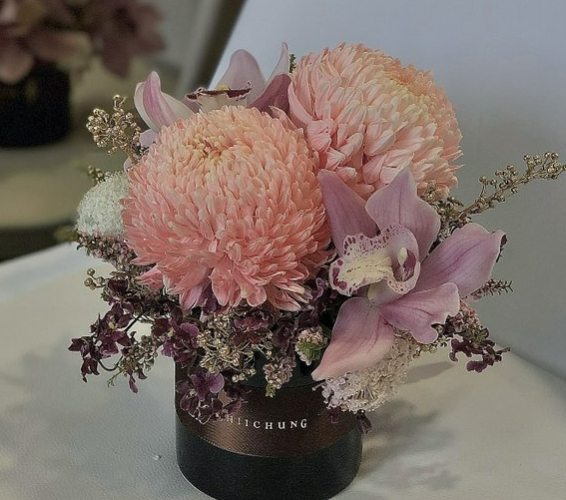 牡丹菊